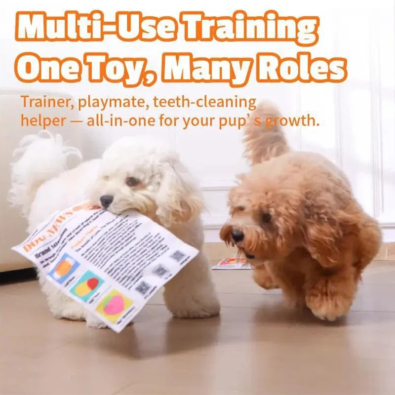 Indestructible Newspaper Squeaky Dog Toy