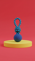 Pet Balls Toy with Rope Interactive